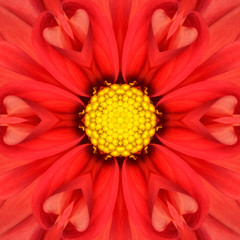 Red Mandala Concentric Flower Center Kaleidoscope