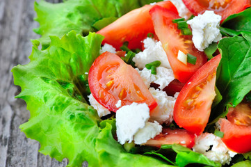 Tomato salad with cheese and arugula