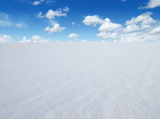 Deurstickers Platteland snow field