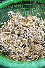 close up old rope in green basket