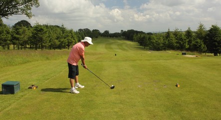 A golfer ready to hit the golfball down the fairway © markim