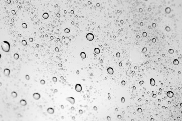 Drops of water on glass