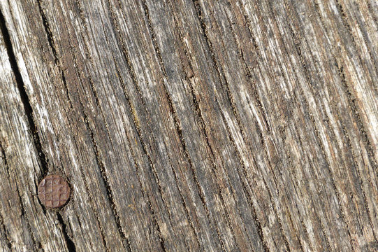 altes Holz mit rostigem Nagel...