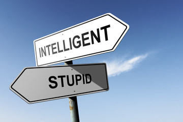 Obraz premium Intelligent and Stupid directions. Opposite traffic sign.