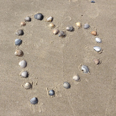 Fototapeta na wymiar Liebe Herz aus Muscheln im Sand am Strand und Meer