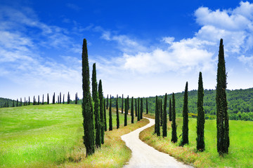 Fototapeta na wymiar landscapes of Tuscany, Italy
