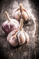 garlic bulb on rustic wooden background