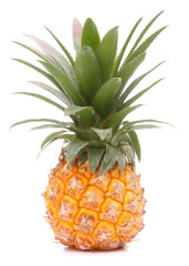 Pineapple tropical fruit or ananas