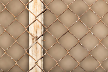 Fototapeta premium Background of the metal mesh fence