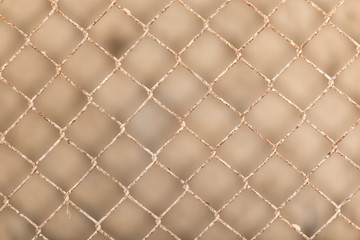 Background of the metal mesh fence