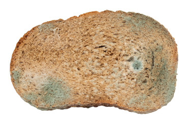 Moldy bread. Isolated on white background