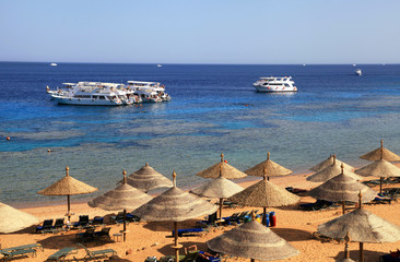 Red Sea beach, Sharm el Sheikh, Egypt - 66495314