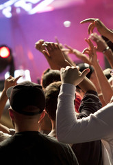 Cheering crowd in front of stage