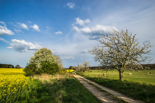 Fr&uuml;hling in Brandenburg