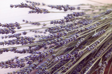 bunch of lavender flowers
