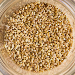 rice on wood background