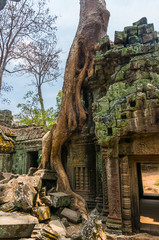 Ta Prohm Temple Doorway