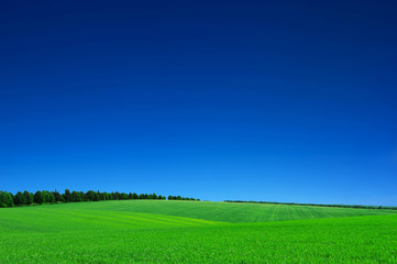 green field