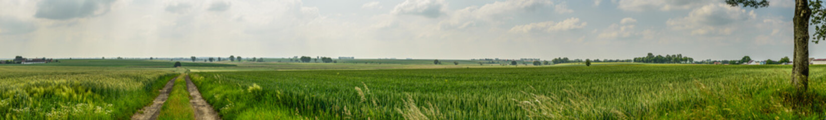 Panorama photo of farmland ,Poland