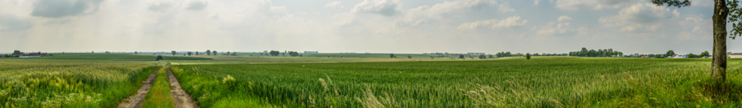 Fototapeta Panorama photo of farmland ,Poland