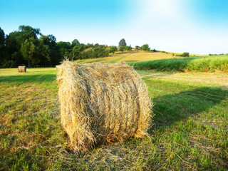 Landwirtschaft in Mitteldeutschland, Heu wird zu Ballen gepresst - Heuballen in der Landschaft, 