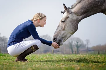 Reiterin mit Pferd © dbunn
