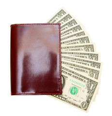 Money and purse. On a white background.
