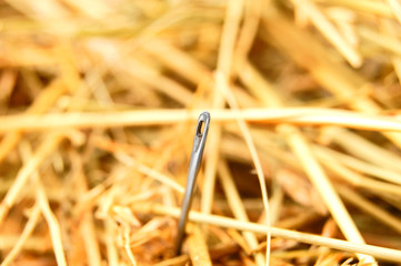 Needle in hay.