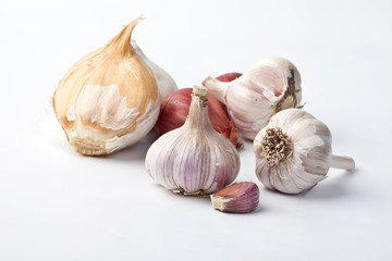 California grown organic garlic and shallots assortment - Music Garlic, Spanish Roja Garlic, Russian Red Garlic, Elephant Garlic, California White Garlic, and French Red Shallots