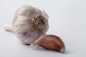 Hard to find organic Spanish Roja garlic bulb and clove on a white background