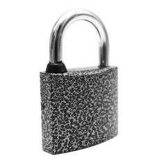 Fototapeta premium The lock.