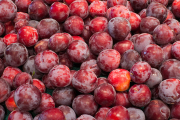 Abstract background of freshly harvested Santa Rosa plums