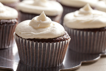 Chocolate gourmet cupcakes with sprinkles and buttercream frosting