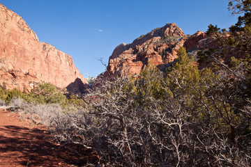Kolob Canyon Cliffs in the winter