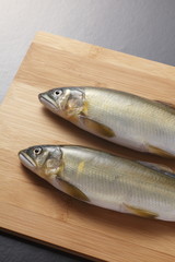 鮎