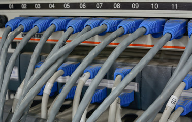 ethernet cables connected to computer  internet server