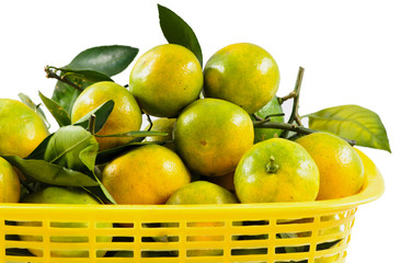 Thai mandarin orang on yellow basket