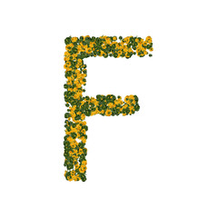 Letter F made from green and yellow bell peppers