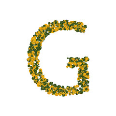 Letter G made from green and yellow bell peppers