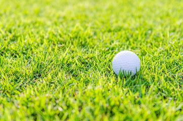 Golf ball on green grass