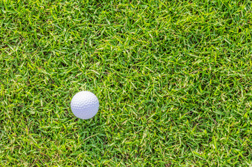 Golf ball on green grass