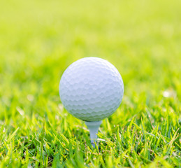 Golf ball on green grass