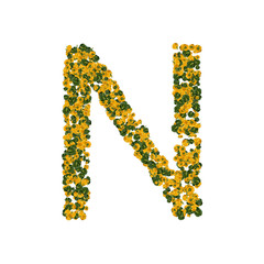 Letter N made from green and yellow bell peppers