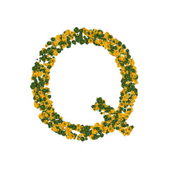 Letter Q made from green and yellow bell peppers