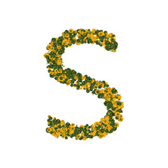 Letter S made from green and yellow bell peppers