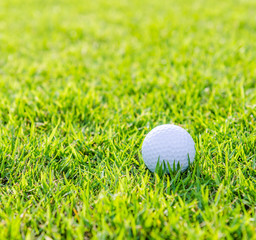 Golf ball on green grass
