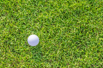 Golf ball on green grass