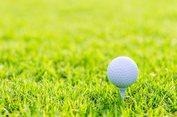 Golf ball on green grass