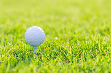 Golf ball on green grass