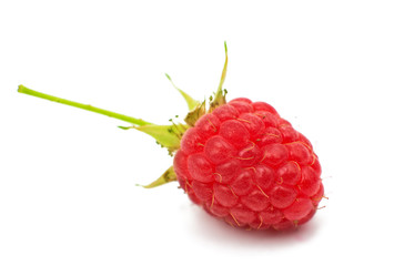 fresh raspberries isolated